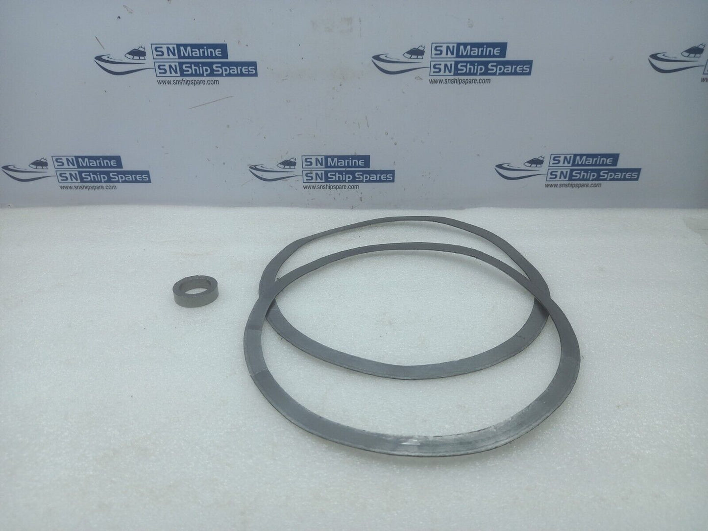 Spirax Sarco Gasket Kit 150MM BSA3 Valve 1/2/3 DN150