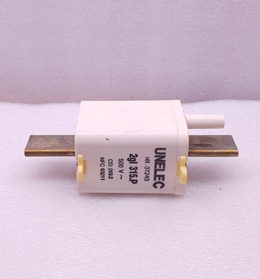Unelec 37243 Fuse 2 gl 315.P 500V~ - 3PCs/Lot