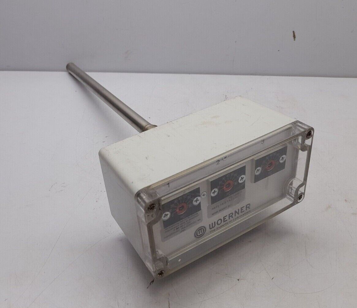 Woerner AB31-143-1A2A3A-W Temperature Controller 900013647 Max 250VAC 16A/220VDC