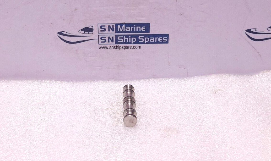 Versa C4322316SGNE Repair Valve Kit Parts for Solenoid