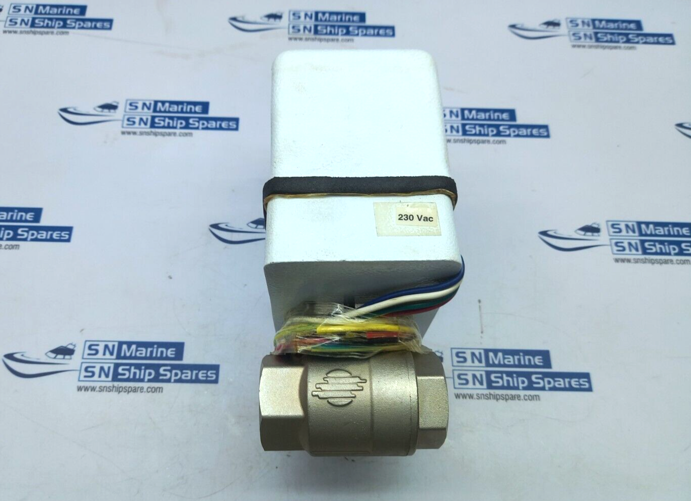 Assured Automation E101NXV4C-90PERP Electric Actuator 230VAC  With V101 Valve