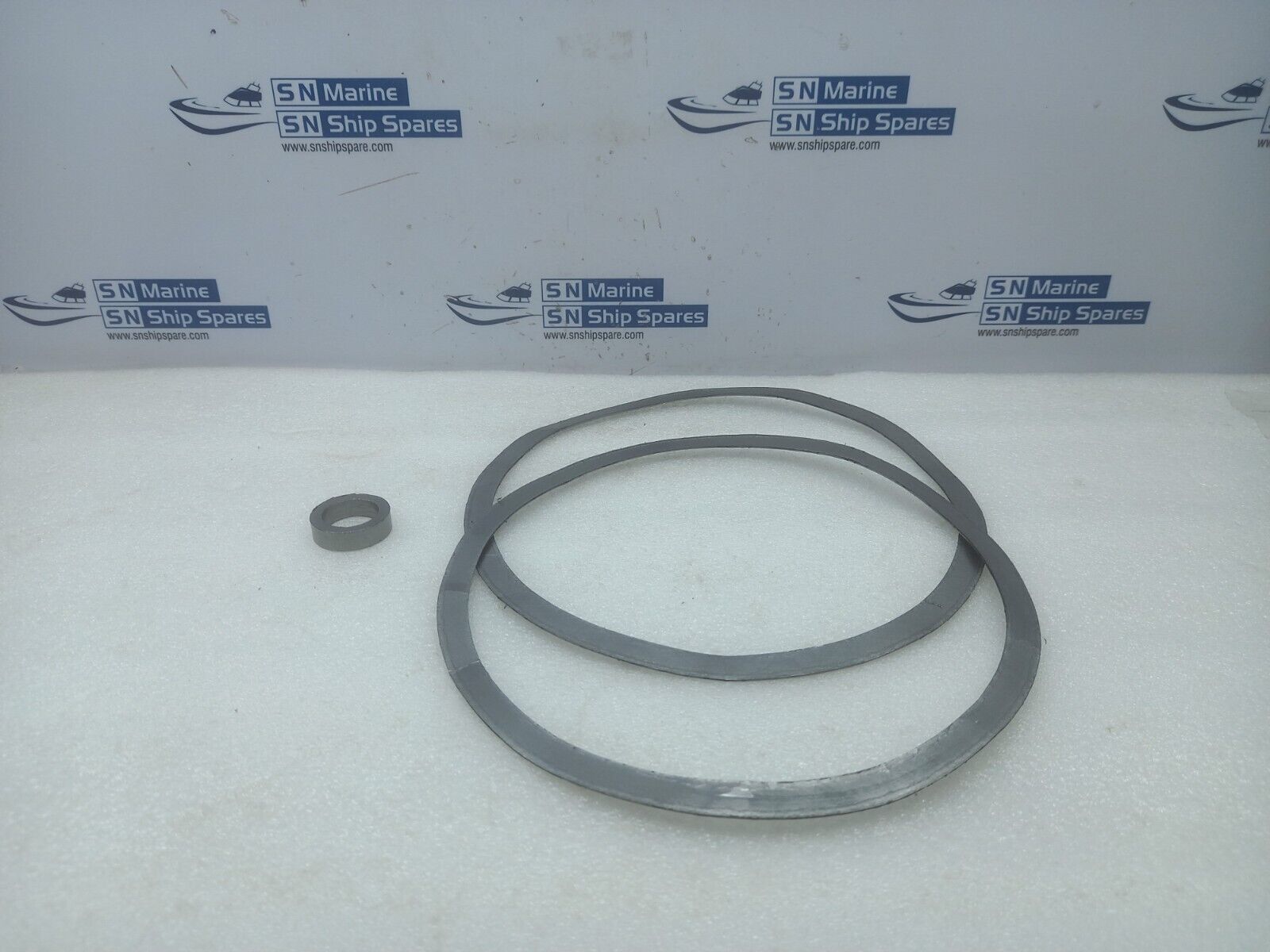 Spirax Sarco Gasket Kit 150MM BSA3 Valve 1/2/3 DN150