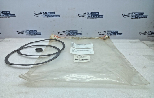 Spirax Sarco Gasket Kit 150MM BSA3 Valve 1/2/3 DN150