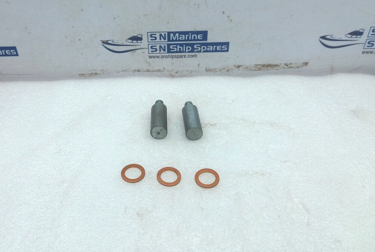 Steyr Motors 21784131 Zinc Anode 2PCs In Lot