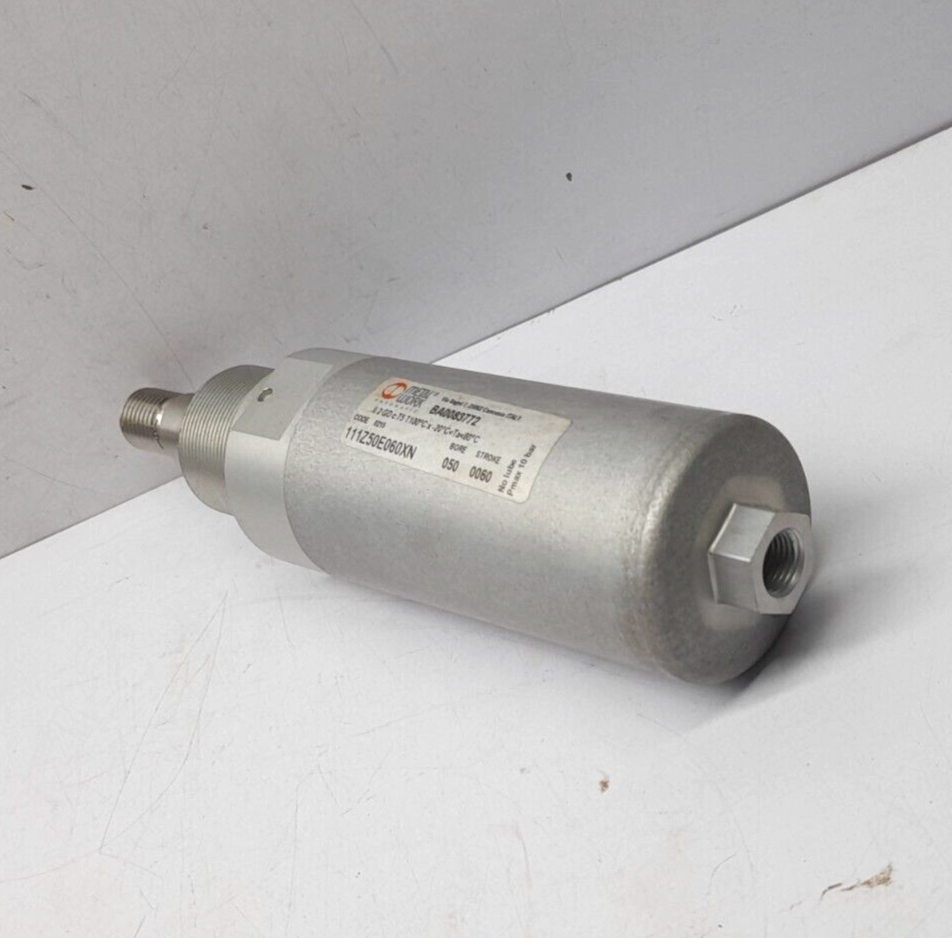 111Z50E060XN Bore 050 Stroke 0060 No Lube Pmax 10 Bar