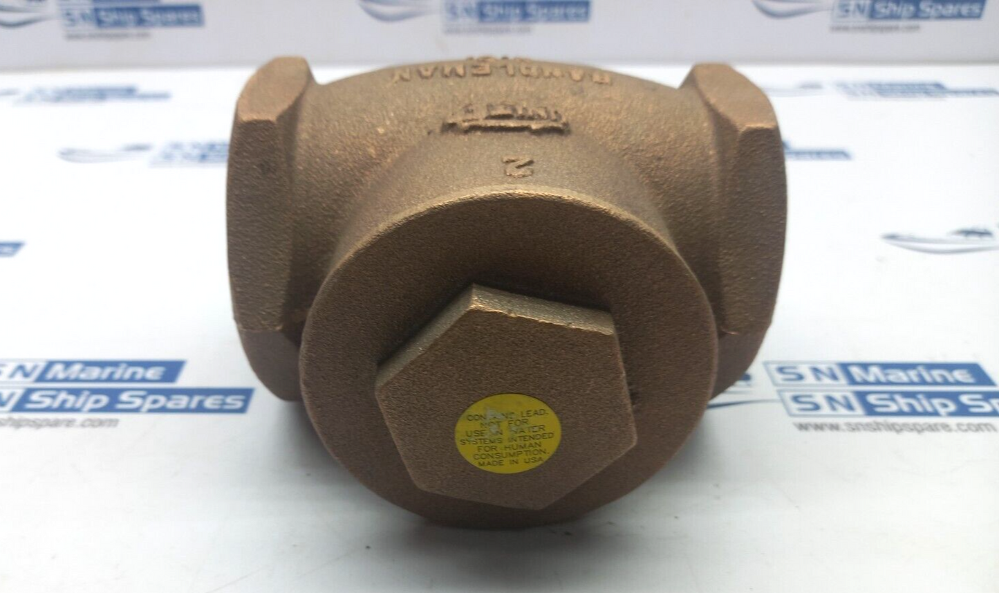 United Brass-Randleman N.C. 2IN Swing Check Valve World Water System VSCB200