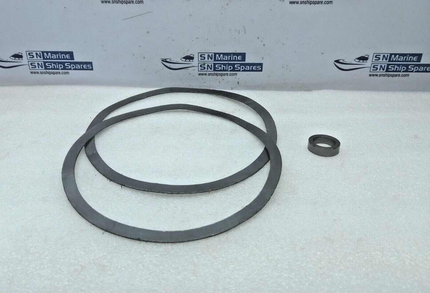 Spirax Sarco Gasket Kit 150MM BSA3 Valve 1/2/3 DN150