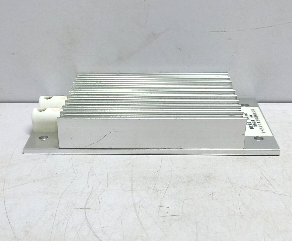 SWTS DJR-100F Heater 230V 60Hz 100W